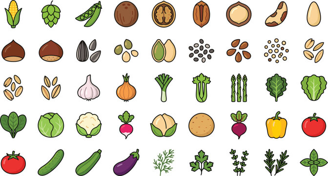 Plant based food icons vector illustration collection featuring healthy vegetables nuts seeds and herb elements