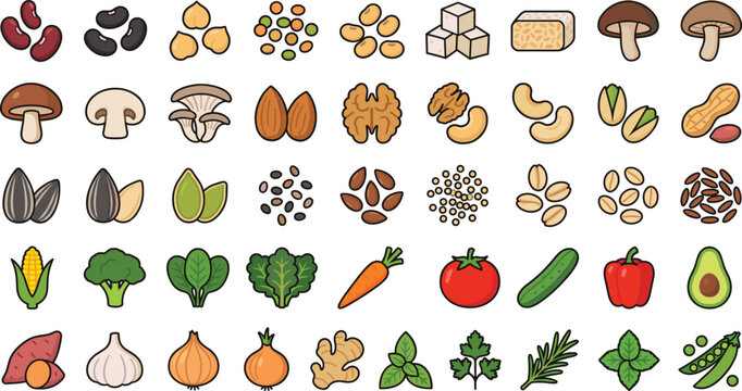 Vegan protein sources vector illustration collection featuring nuts, seeds, beans, grains, and vegetable elements