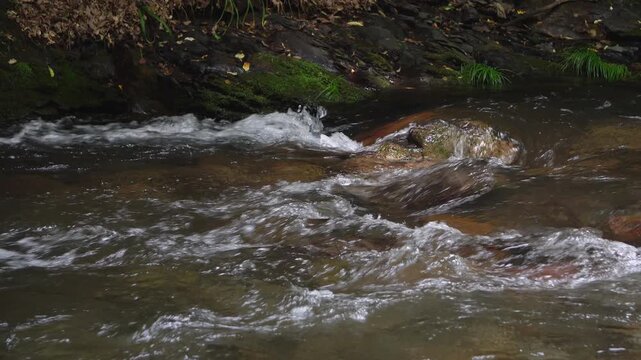 岩の間を流れる渓流の流れ