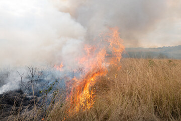 A controlled burn or prescribed fire in dry natural grassland for conservation management, South Africa © Craig