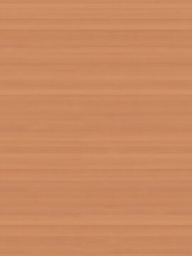 seamless european beech - faggio texture