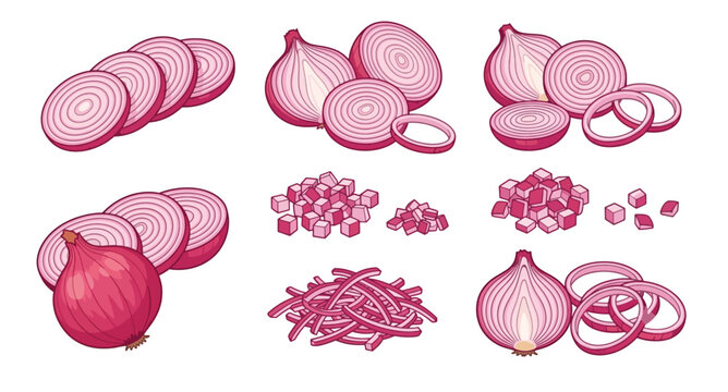Fresh red onion bulbs and slices vector set, minimalist watercolor style purple onion rings illustration, chopped shallots with parsley isolated on white background.