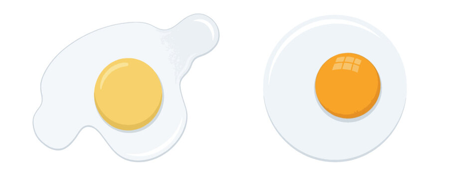 Fried sunny side up eggs vector set, minimalist watercolor style breakfast egg illustration, whole round and oval fried egg yolks isolated on white background.