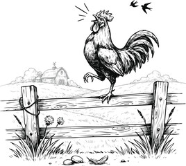 Created on Hand-drawn Black & white farm life illustration of rooster crowing on wooden fence vector art on white background © MdMasud