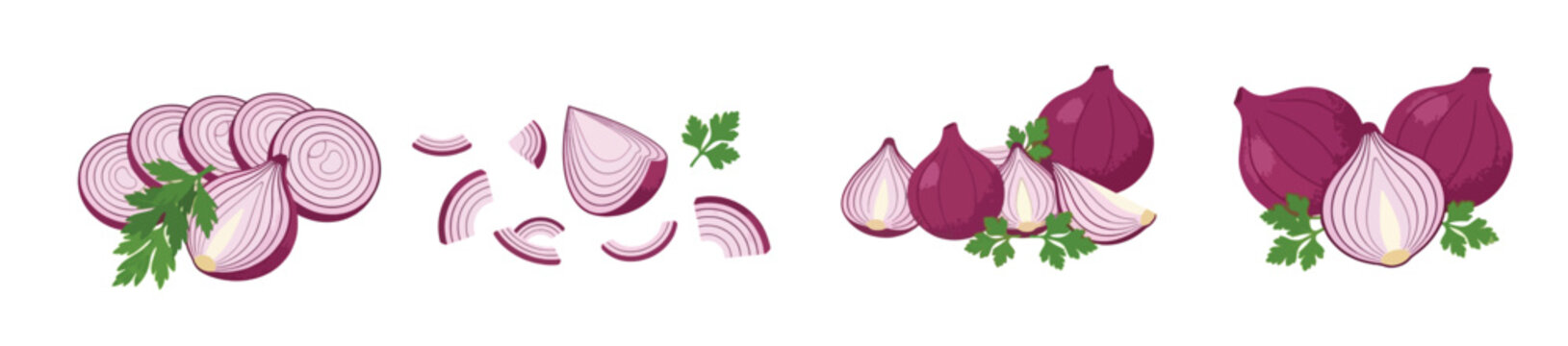 Fresh red onion bulbs and slices vector set, minimalist watercolor style purple onion rings illustration, chopped shallots with parsley isolated on white background.