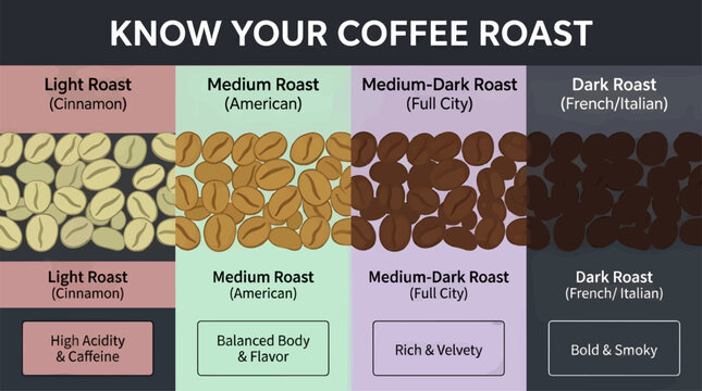 Flat Design Infographic: Know Your Coffee Roast, Presented with Clean Vector Graphics and Informative Icons, Educational Coffee Knowledge Chart with Copy Space