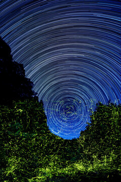 星巡る夜　水面を飛び交う蛍