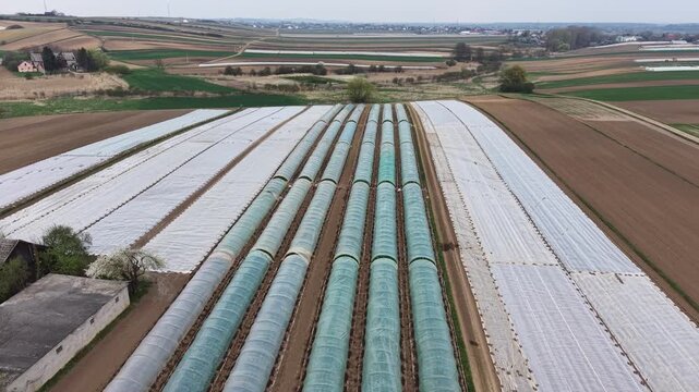 Aerial view of agriculture greenhouses and fields covered with protective plastic film