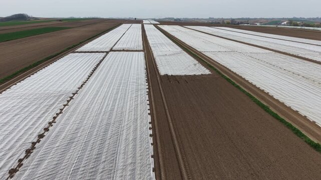 Drone flight over agricultural fields covered with white agrotextile nonwoven fabric