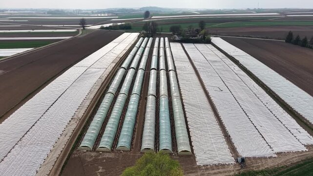 Aerial view of agriculture greenhouses and fields covered with protective plastic film