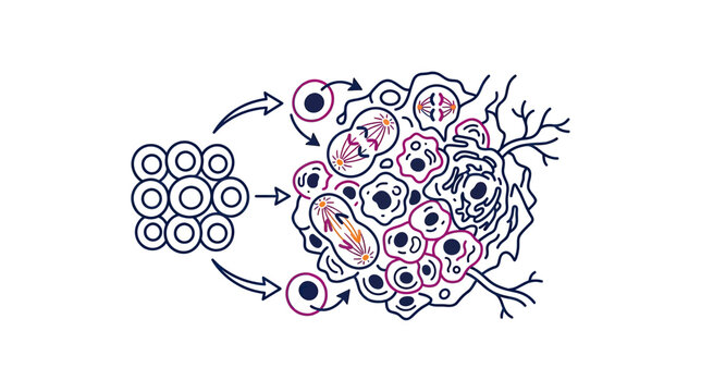 Cancer cell division and growth illustration