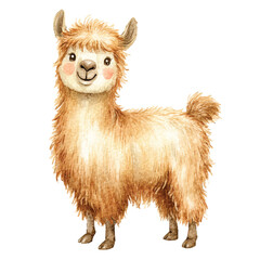 Naklejka premium Cute Llama Standing Alone Smiling.