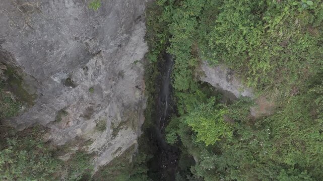 BOSQUE NUBLADO DRON