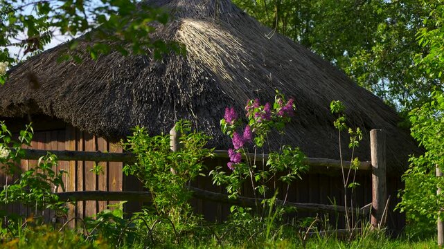 thatched roof cottage in the countryside