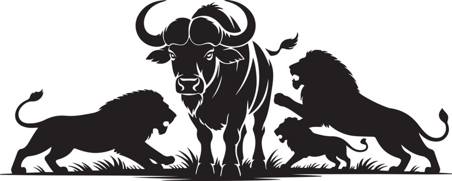 Lion pride group buffalo surround hunt silhouette vector design