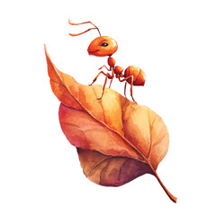 Detailed image of an Ant standing.