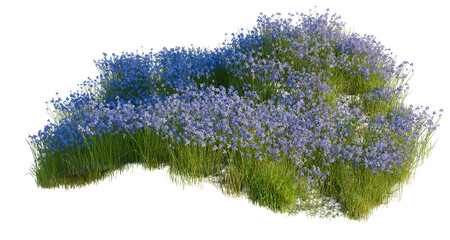 Iris Flower tree shrub, plant bush, cutout, isolate transparent background, Lush Blue Flowers with Green Grass Texture for Backgrounds and Landscape Design Elements
