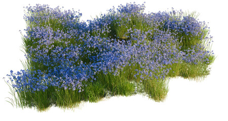 Iris Flower tree shrub, plant bush, cutout, isolate transparent background, Lush Blue Flowers and Green Grass Patch - Perfect for Landscape Design Elements © DH Tree Stock