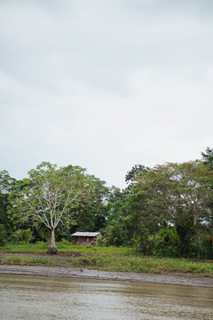 isolated wooden-plank houses in the middle of the Amazon rainforest