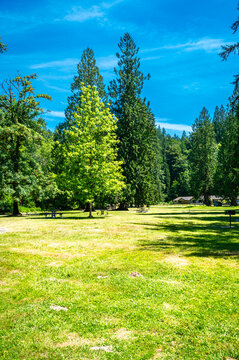 Green River Park 2