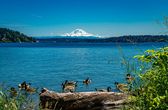 Park Lake And Mountain 2