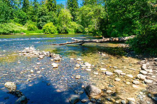 Washington River In Summer