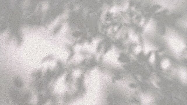Smooth shadow tree branch leafs movement on wall footage 3d rendering