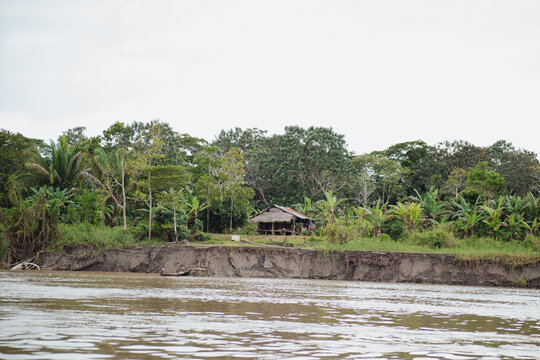isolated wooden-plank houses in the middle of the Amazon rainforest