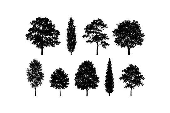 Minimal style CAD mixed deciduous and columnar trees silhouettes, Side view, set of graphic tree symbols for architecture landscape design. Vector illustration. Forest section