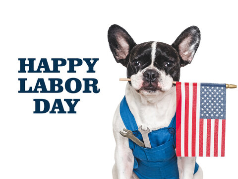 Happy Labor Day. Cute French bulldog and a congratulatory message. Symbolizes Labor Day, hard work, and blue-collar jobs. Ideal for social media, marketing, and lifestyle content. Modern, trendy vibe