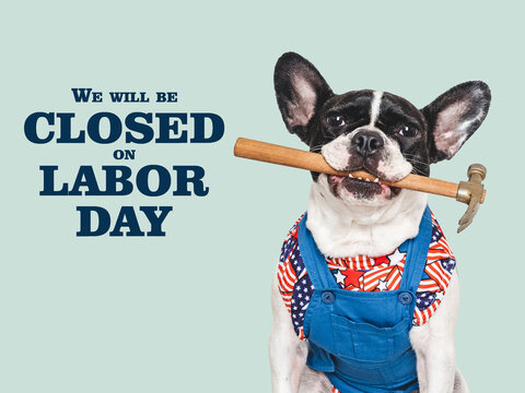 We will be closed on Labor Day. Sign featuring a cute French bulldog and the American flag. Symbolizes Labor Day, hard work, and blue-collar jobs. Ideal for social media, marketing, lifestyle content