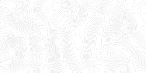 White topography topology vector white background fresh contour map texture. white seamless pattern Abstract background with a wave Topography and geography map grid abstract .Elevation Pattern. © Karishma