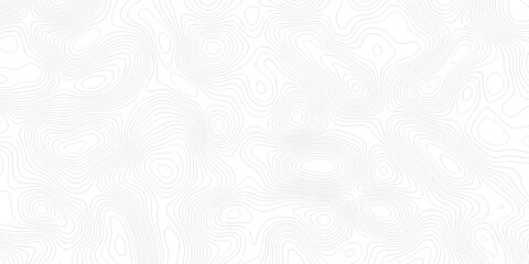 White topography topology vector white background fresh contour map texture. white seamless pattern Abstract background with a wave Topography and geography map grid abstract .Elevation Pattern. © Karishma