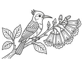 Fototapeta premium Crested bird sitting on branch with bell shaped flowers and green leaves line art vector il.