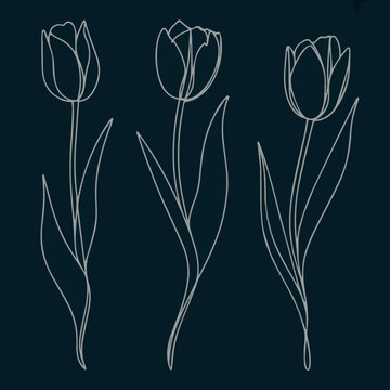 Create Set of one line tulips. Hand drawn contuor drowing of spring flowers. Modern single line art Black Background.