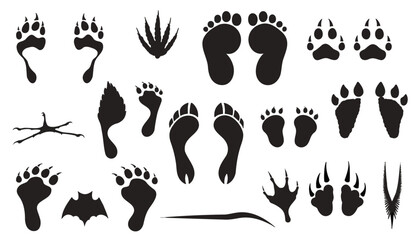 Fototapeta premium Animal footprints set. Collection of wild creature tracks and mammal paw prints for nature design.