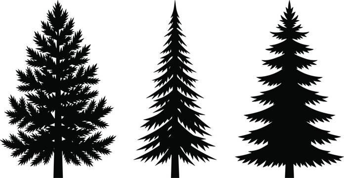 Set of Three Distinct Black Pine Tree Silhouettes Isolated on a White Background for Design Projects