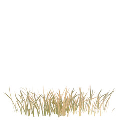Fototapeta premium Iris Flower tree, elevation, front view, cutout, transparent background, isolate, Detailed grassy border with golden tones - perfect for adding a natural touch to any design.