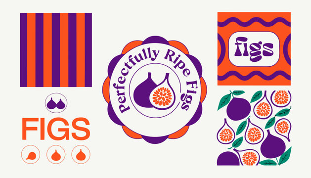 Ripe Fig Fruit Seamless Patterns and Retro Packaging Poster Set