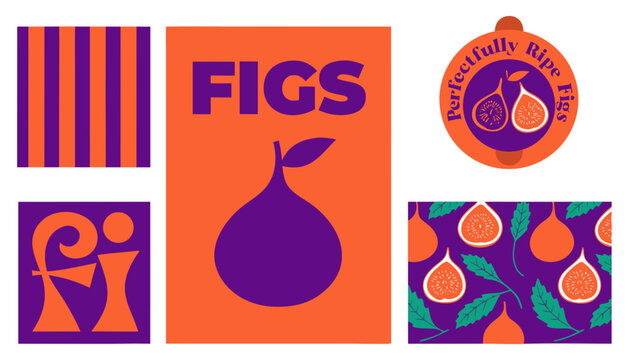 Ripe Fig Fruit Seamless Patterns and Retro Packaging Poster Set