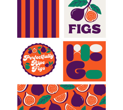 Ripe Fig Fruit Seamless Patterns and Retro Packaging Poster Set