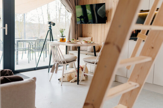 Pet friendly modern cabin interior with resting dog, prepared table and camera beside terrace