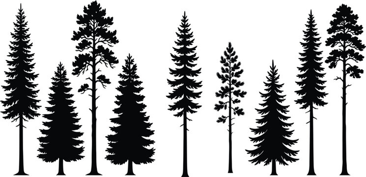 Black pine tree silhouettes vector set of conifer and fir woods isolated on white background