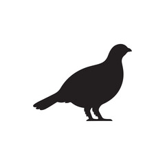 Fototapeta premium Grouse silhouette vector flat design on white background on white background.