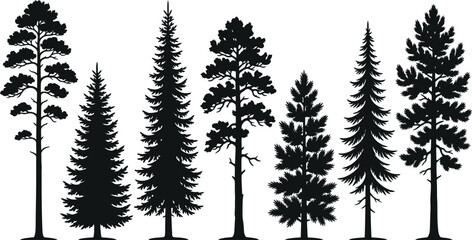 Pine tree silhouettes vector set evergreen forest woods isolated on white background graphic element © VactorZone