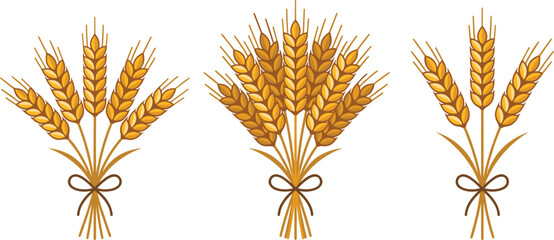 Golden Wheat Ears Sheaf Vector Set Tied with Rope Bow for Agriculture Icons Bakery Logos Autumn Harvest Designs and Organic Food Packaging © BijoyChandra