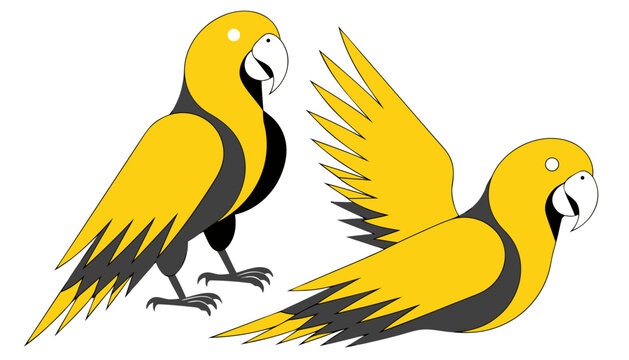 vector illustration of parrots