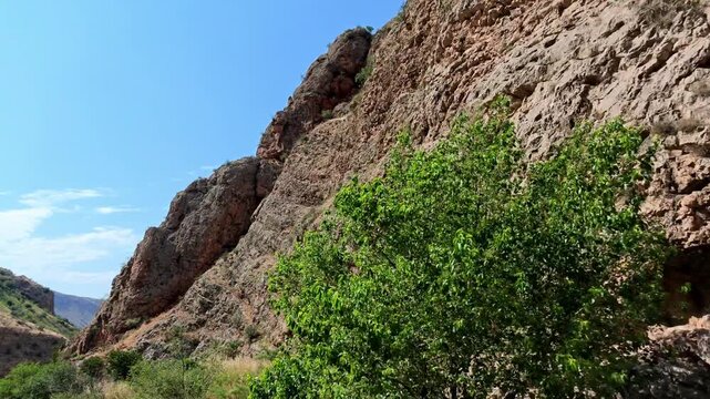 Scenic mountain road bordered by trees and rocky cliffs under sunny skies
