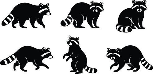 Fototapeta premium Raccoon Silhouette Set with Walking Standing and Sitting Wildlife Animal Vector Collection