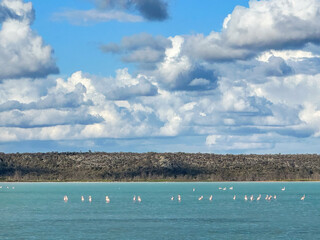 Flamingos in the Distance at Lake Tsimanampetsotsa in the Dry Season, Tsimanampetsotsa National Park, Madagascar © Guy Bryant